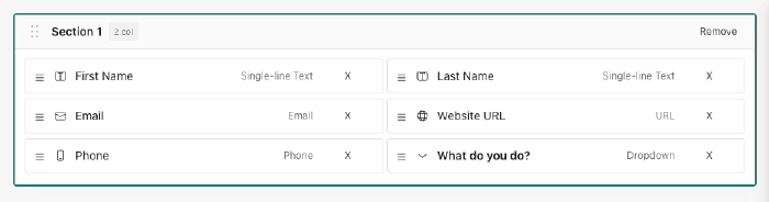 Close-up of a 2-column section with fields arranged side by side — First Name and Last Name, Email and Website URL, Phone and Dropdown