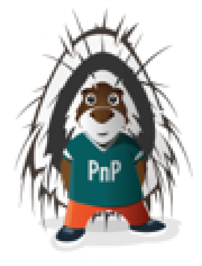 PnP community PnP community