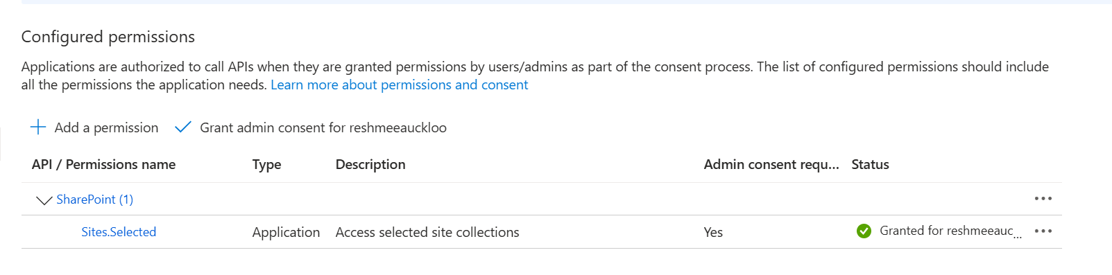 Api Permissions Before