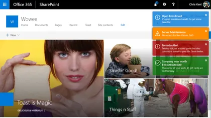 Toastr Application Customizer
